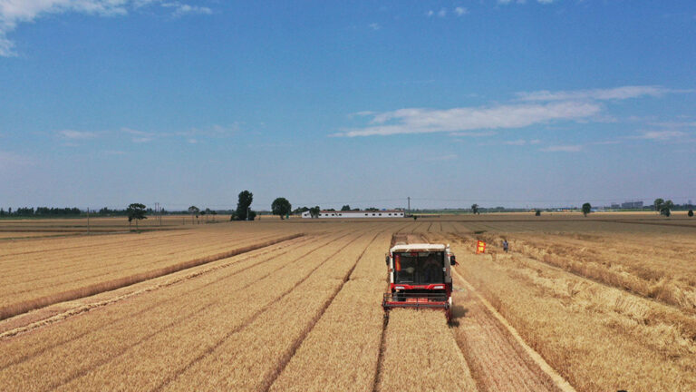 Read more about the article New Centralized Lubrication System for Agricultural Harvester